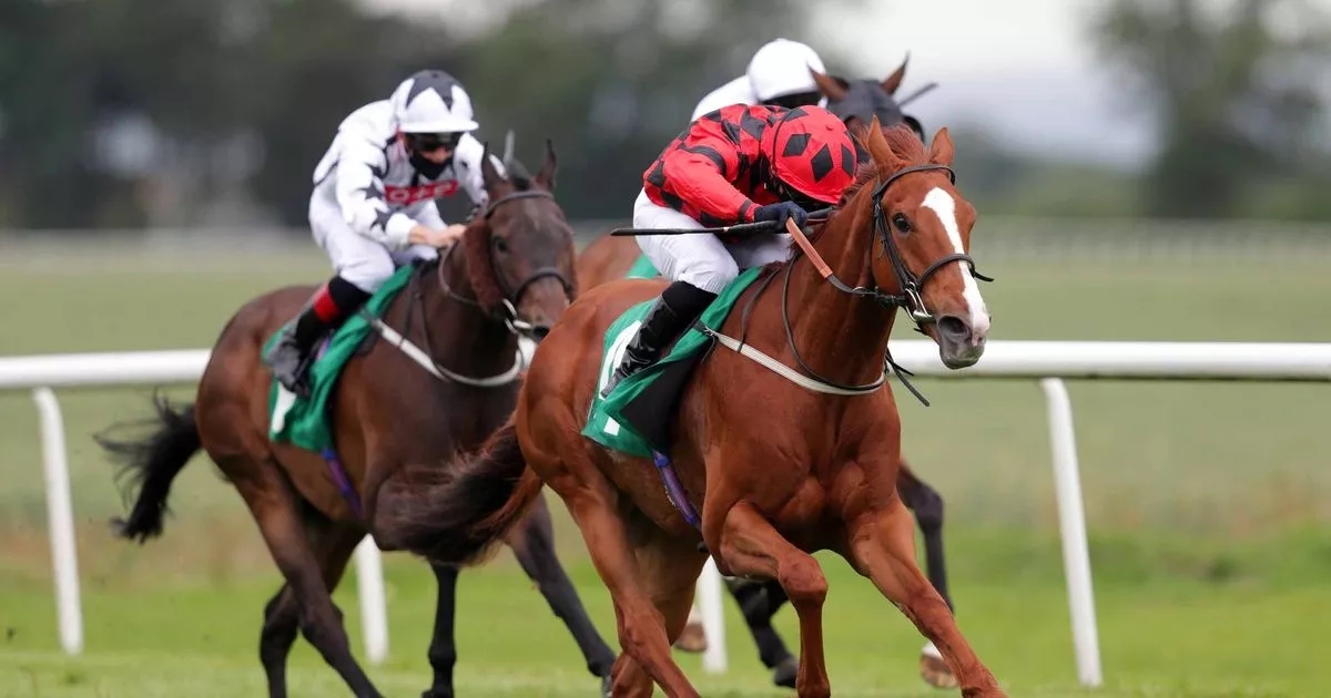 Newsboy's horse racing selections for Friday's five meetings, including Thirsk nap