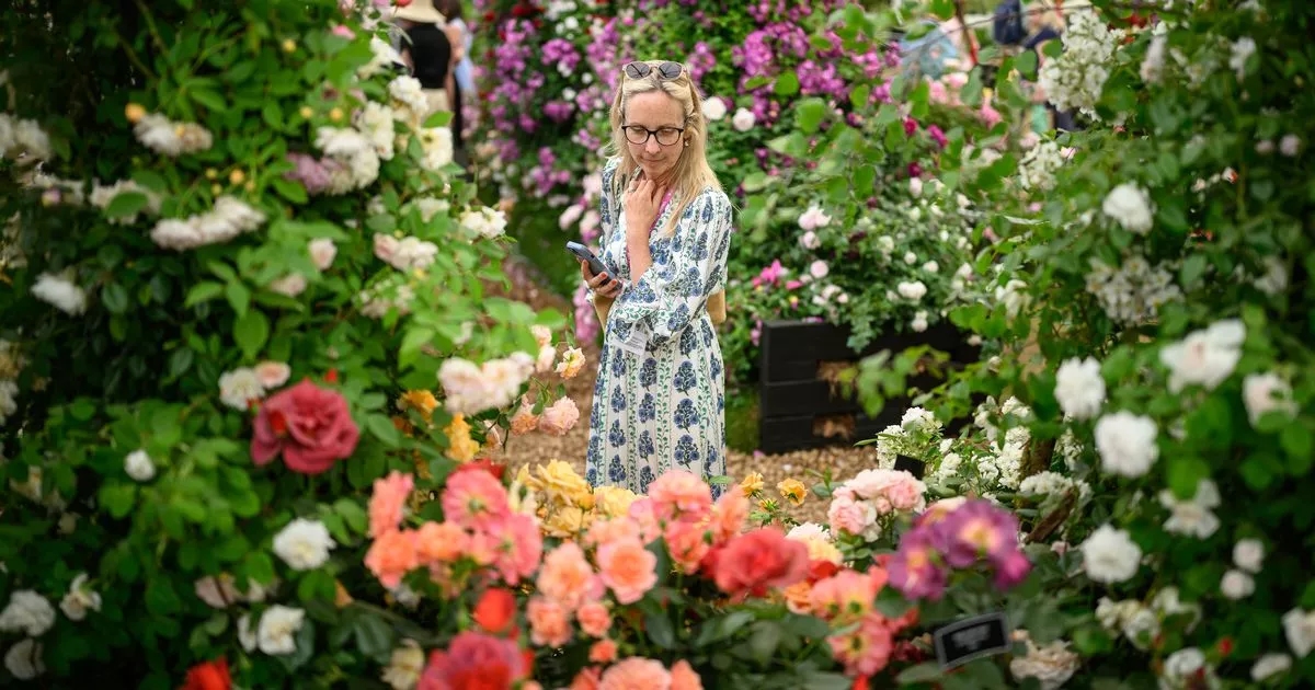 Award-winning Norfolk rose gardens with 'hidden gem' park is a 'lovely day out'