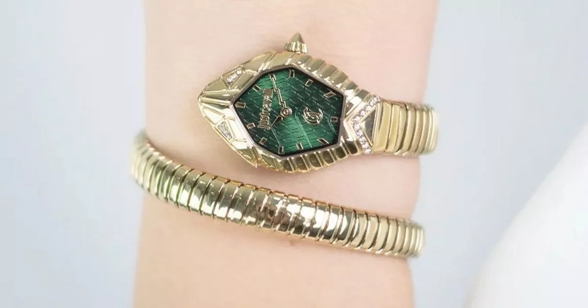 Designer 'snake' watch that looks more like a bracelet reduced from £320 to £99