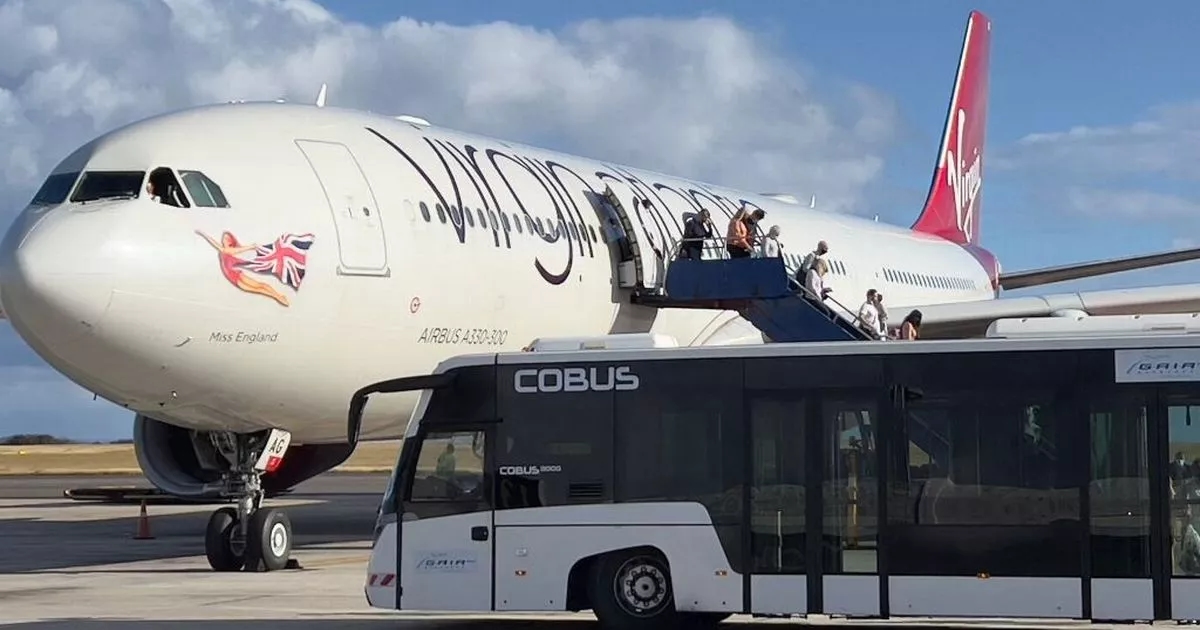 Nine teenagers arrested for 'endangering' passengers as plane lands at Heathrow