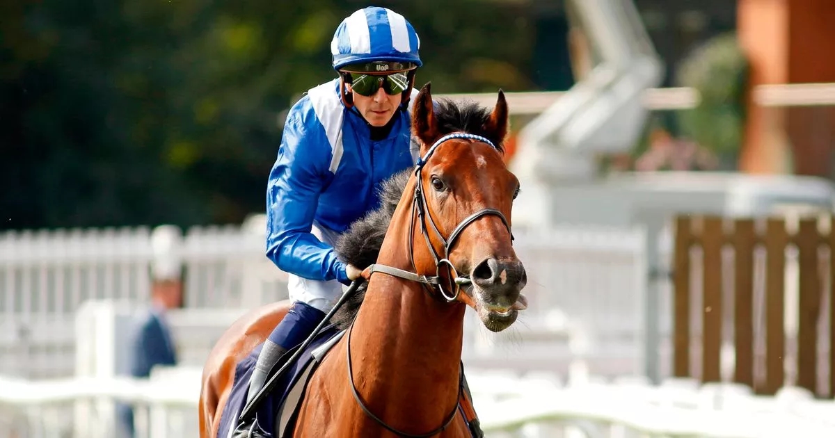 Bookies forced to slash odds of new Stewards' Cup favourite despite start dilemma