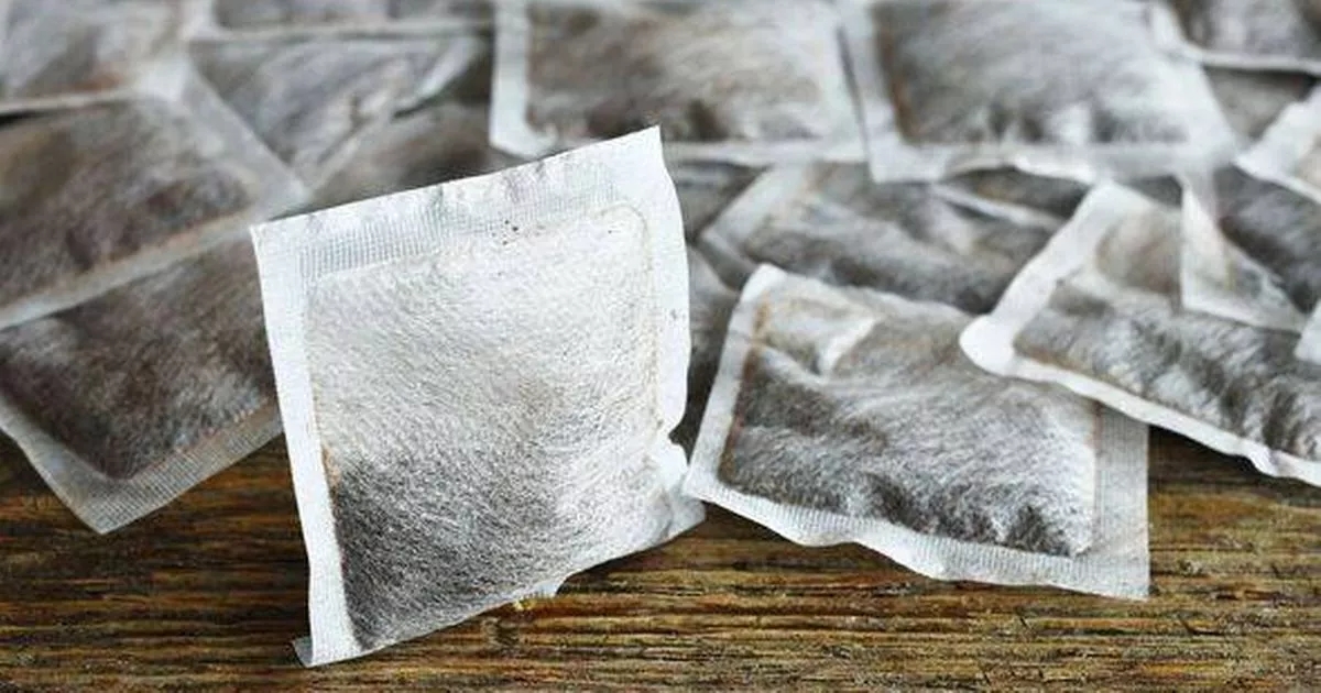 Gardeners should put tea bags on their plants but only if they do one thing first