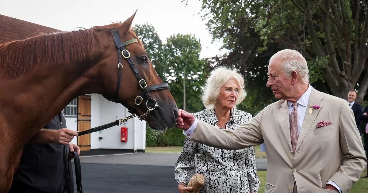 King and Queen ‘working on' finding an elusive first Royal Epsom Derby winner