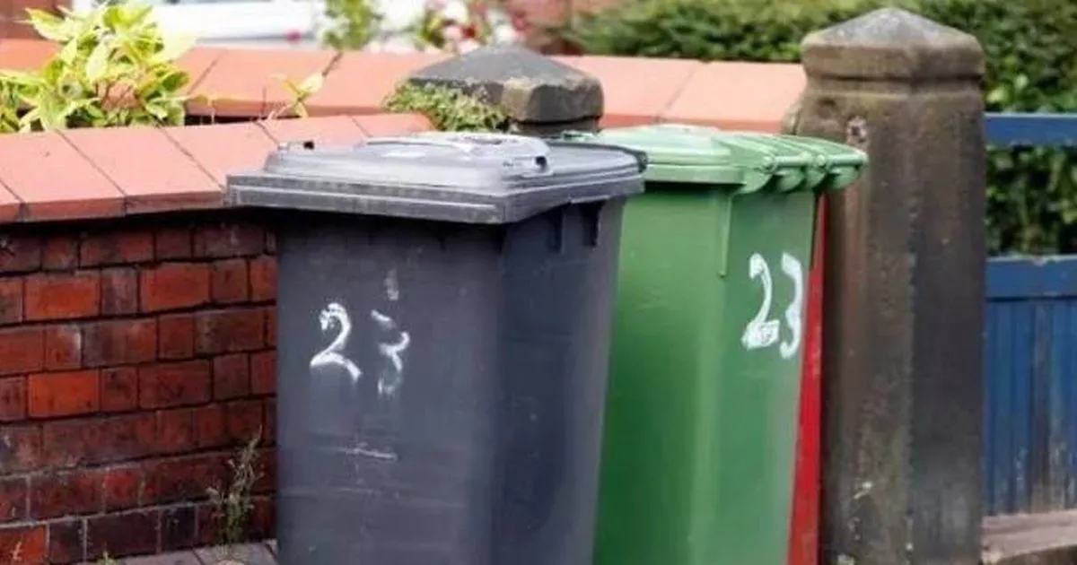 Bin warning over little-known rule that could land you with a costly fine