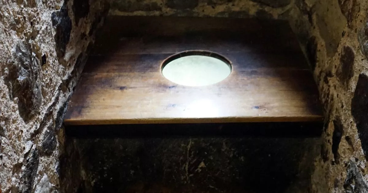 ‘I am a loo historian – you'll never guess what Tudors used to wipe their bums'