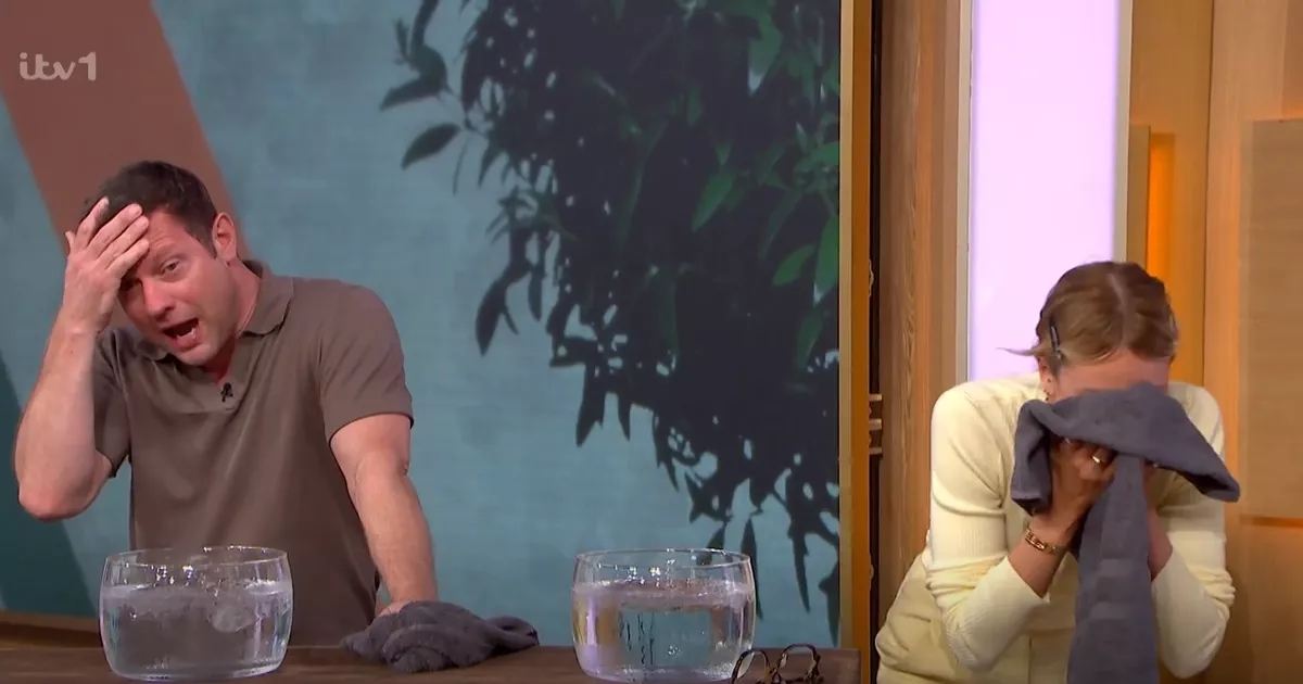This Morning fans left concerned after Dermot O'Leary hits head live on TV