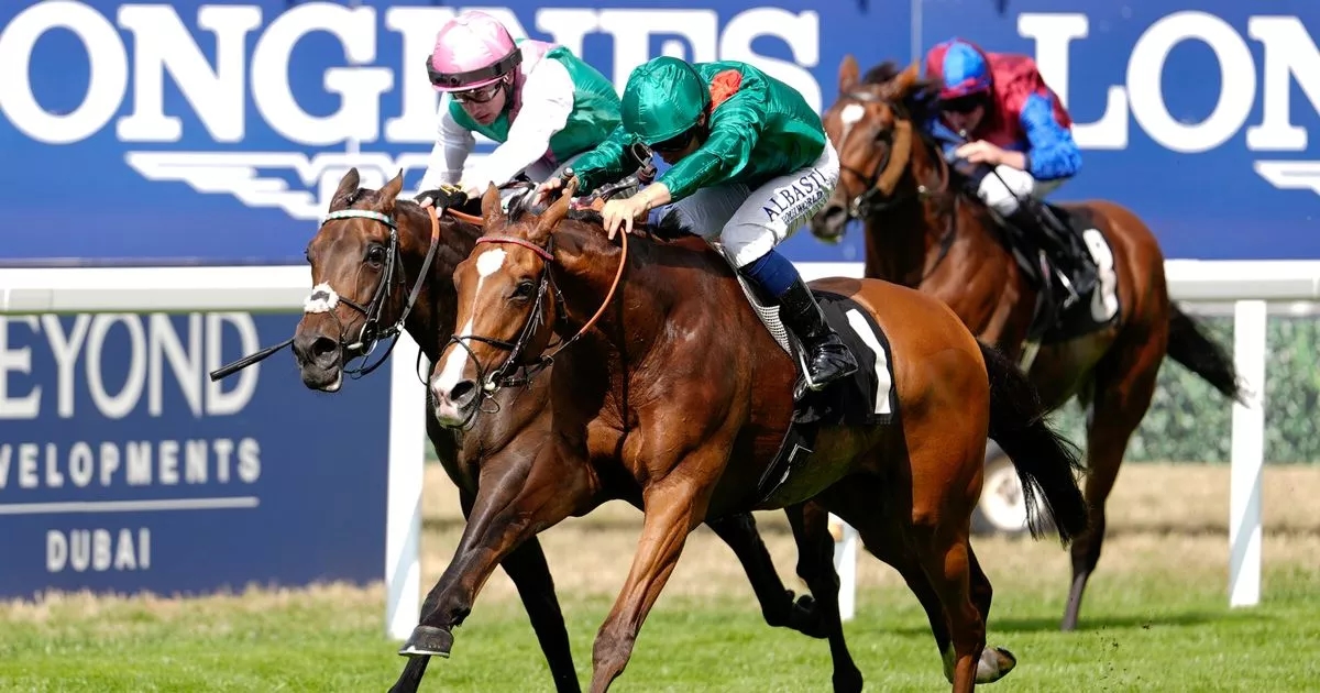 Calandagan's trainer reacts to King George win at Ascot - 'I never had any doubts'