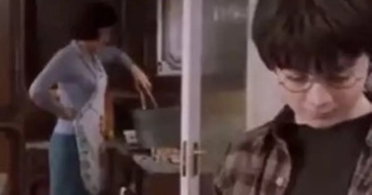 Harry Potter fans just realising what Aunt Petunia is doing in kitchen scene