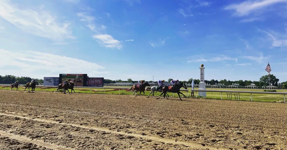 Horse dies at racecourse in first race back since closure over safety concerns