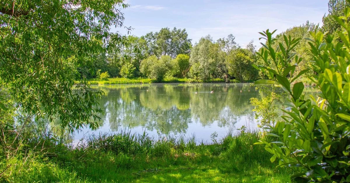 'Best Airbnb in England' located on private lake has 'one important factor'