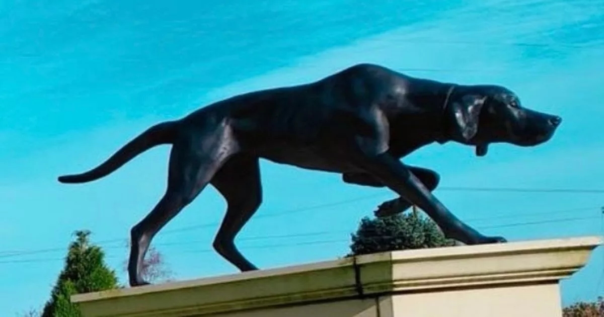 Plucky dog sentenced to death after saving British soldiers' lives in brutal prison camp