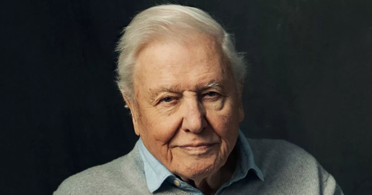 David Attenborough's shock BBC series on animal parenting has filming firsts
