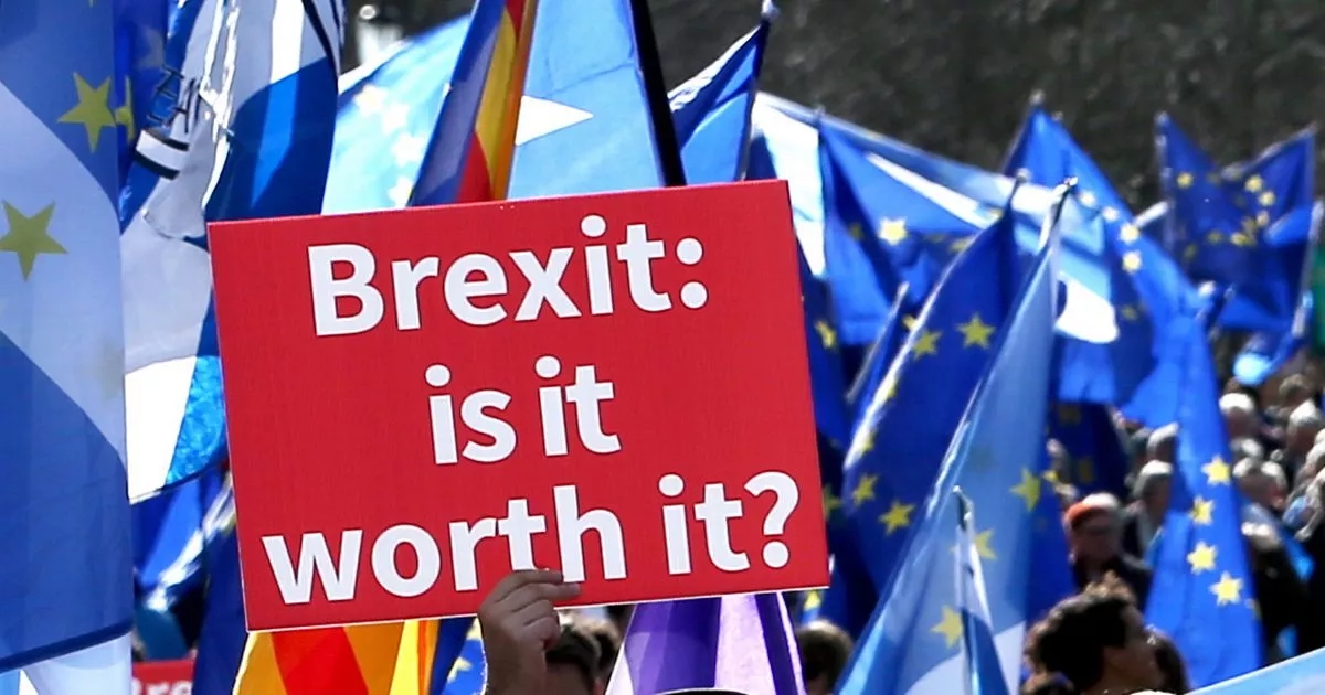 Half of Brits want another EU referendum in five years - as Brexit support slumps