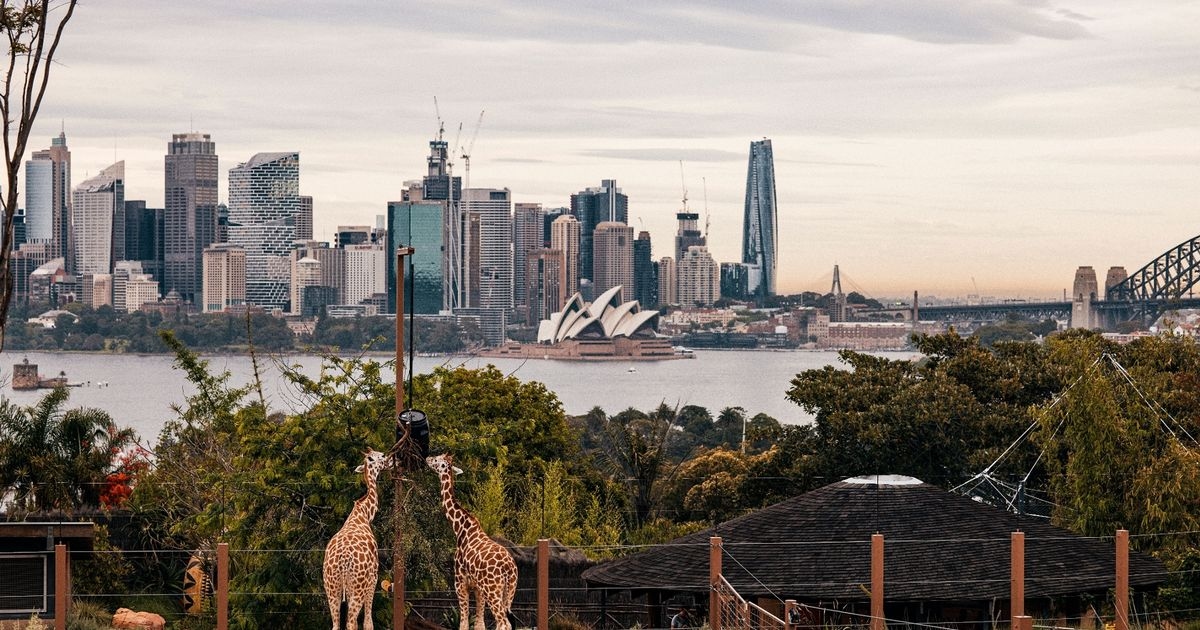British woman moves to Australia and experiences five major culture shocks