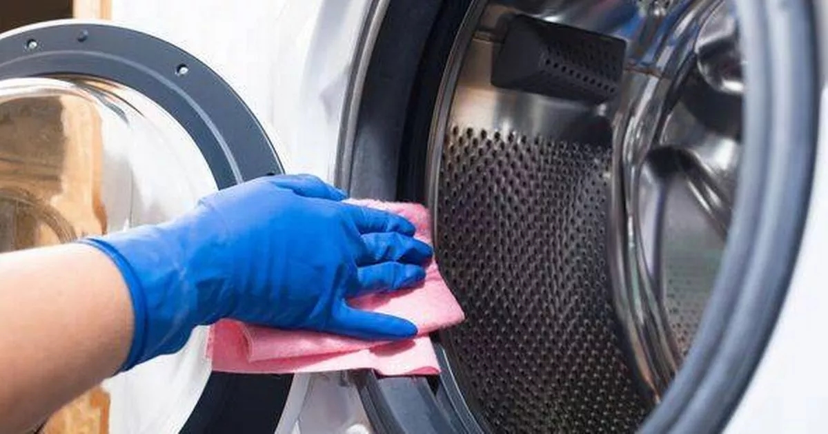 Keep washing machines mould-free for years with three 'easy' 5-second tasks