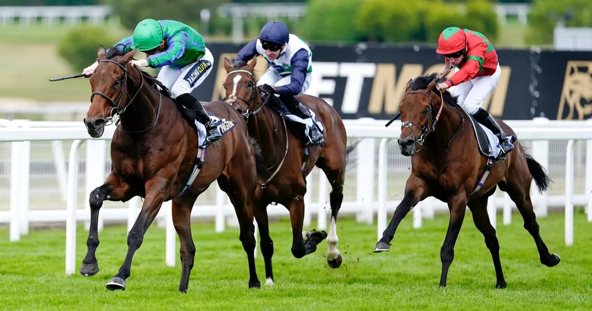 Horse racing goes on strike for the first time in extraordinary move