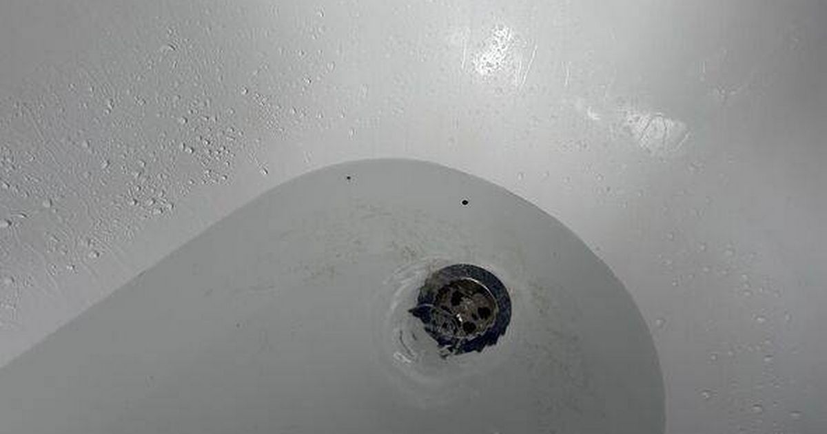 I unblocked my shower drain with two natural items and it worked in just an hour