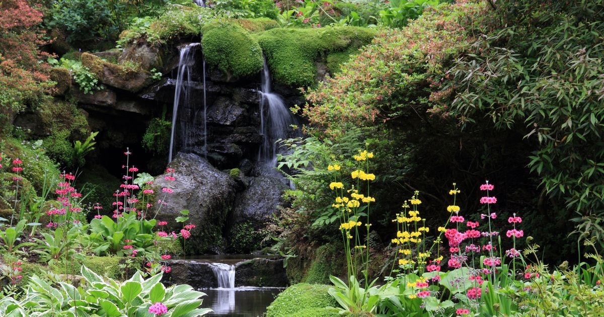 'Beautiful' UK picnic spot lets you 'step into a fairytale'