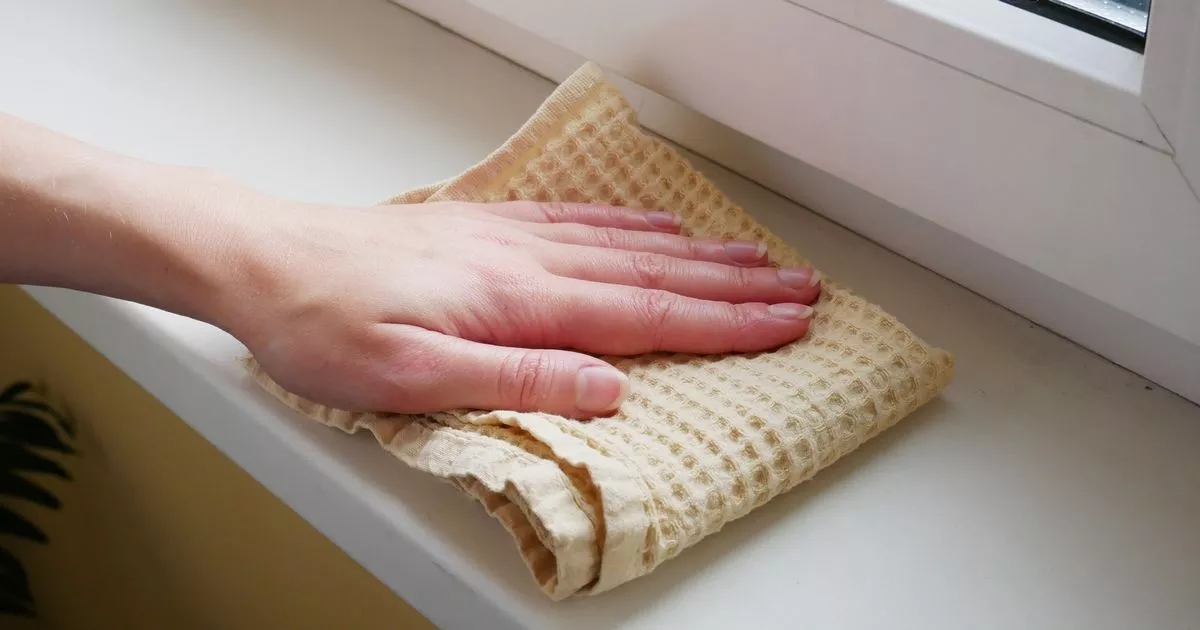 UK households asked to clear their windowsills until November because of Google