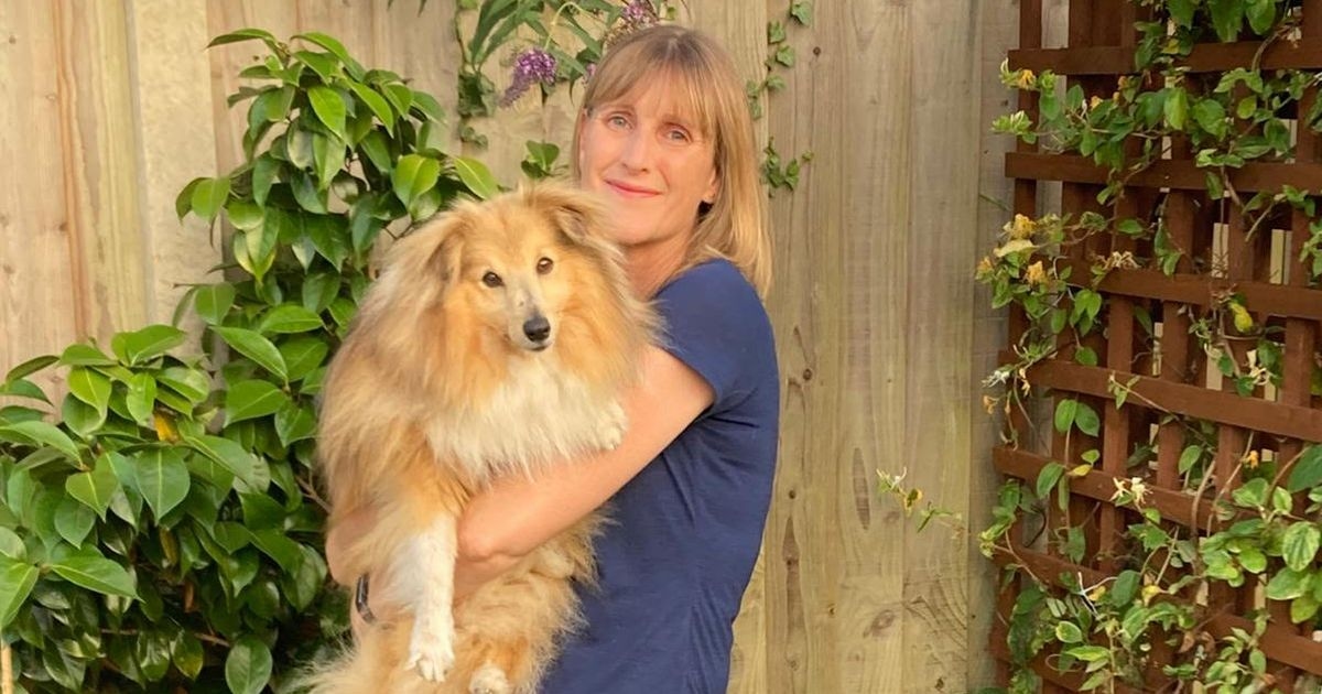 Dog 'drunk' after eating dead cat as owl on LSD has bad trip