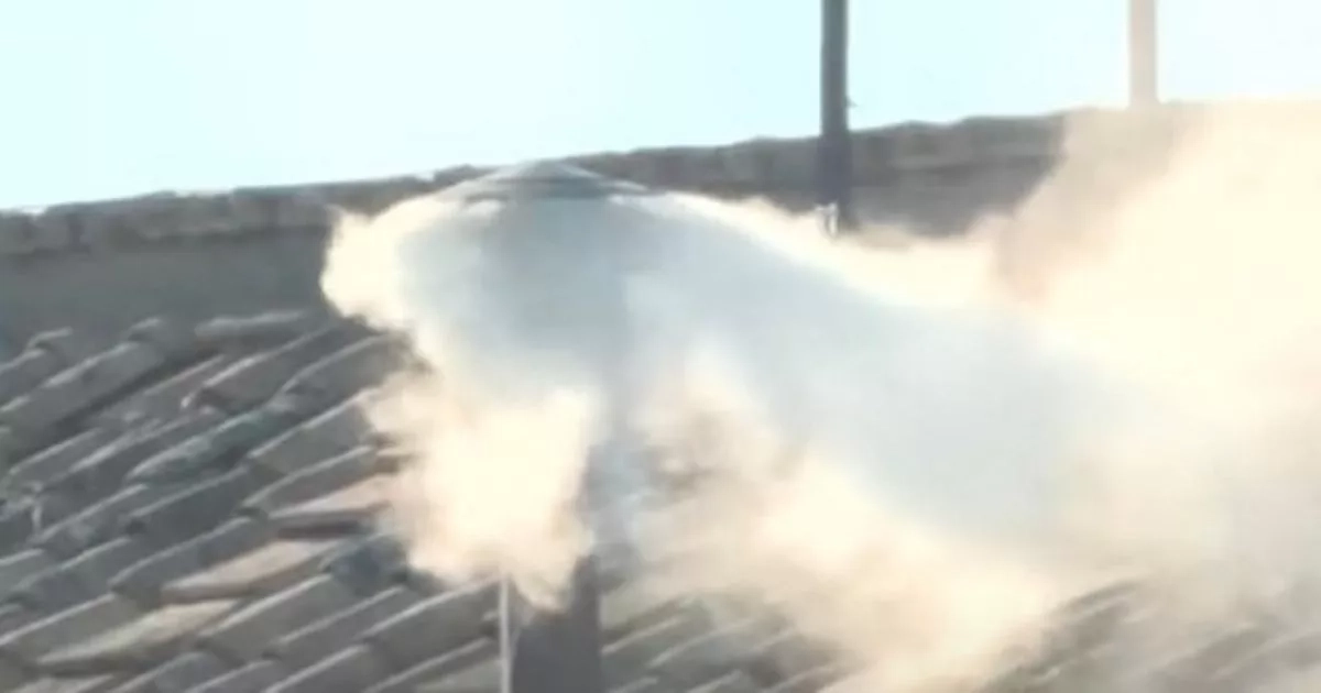 New Pope chosen as white smoke billows from Sistine Chapel chimney
