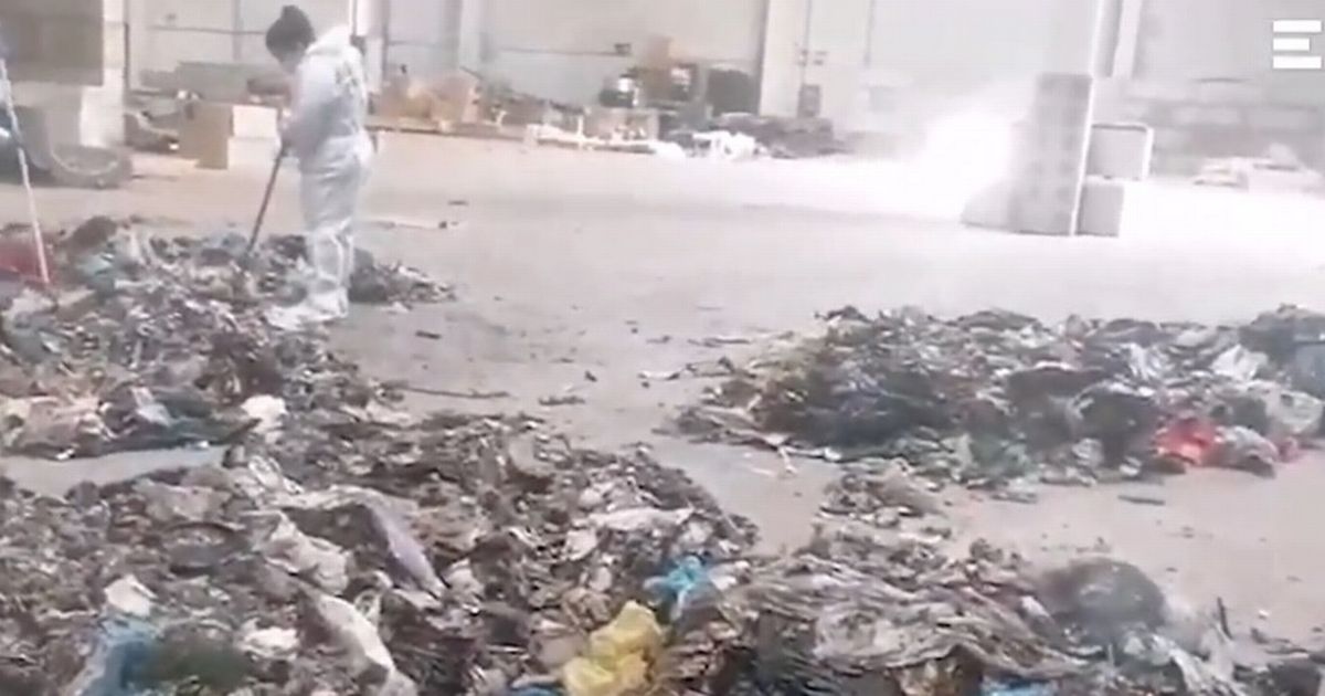 Newborn baby found decapitated and dismembered in rubbish bin