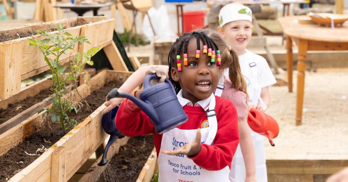 How this supermarket is helping children get what they need in school