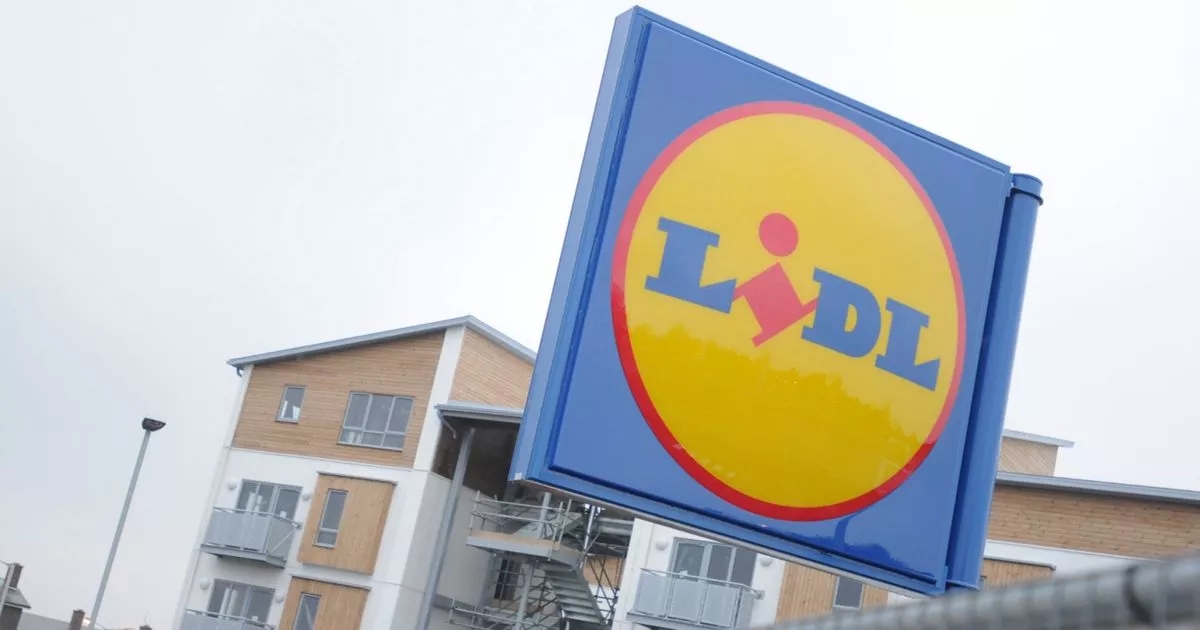 Listeria: Lidl spinach and mixed leaves in urgent product recall over health fears