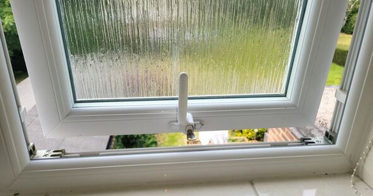 Irish households must shut windows for next 6 weeks or risk chaos
