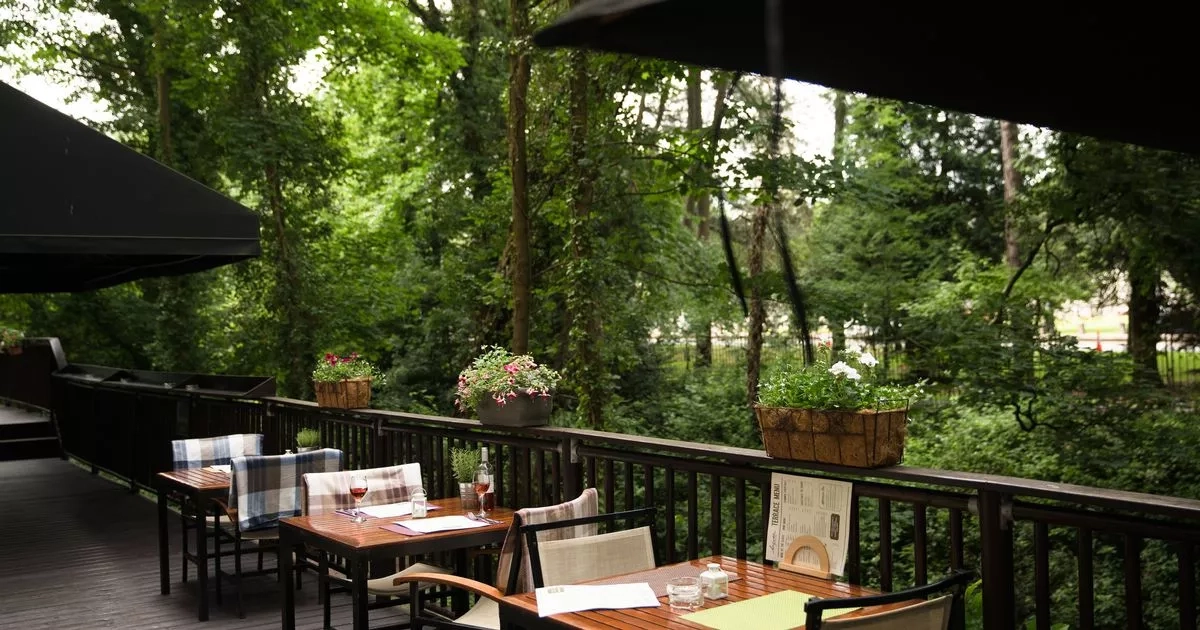Cardiff bar hidden in a leafy, quiet corner of the city centre that's like having cocktails in the countryside