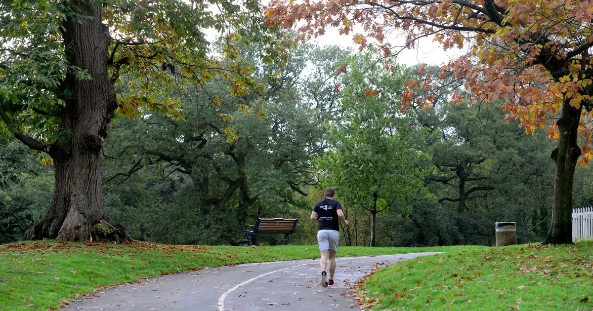 The five ways a beloved Swansea park is about to be enhanced after funding boost