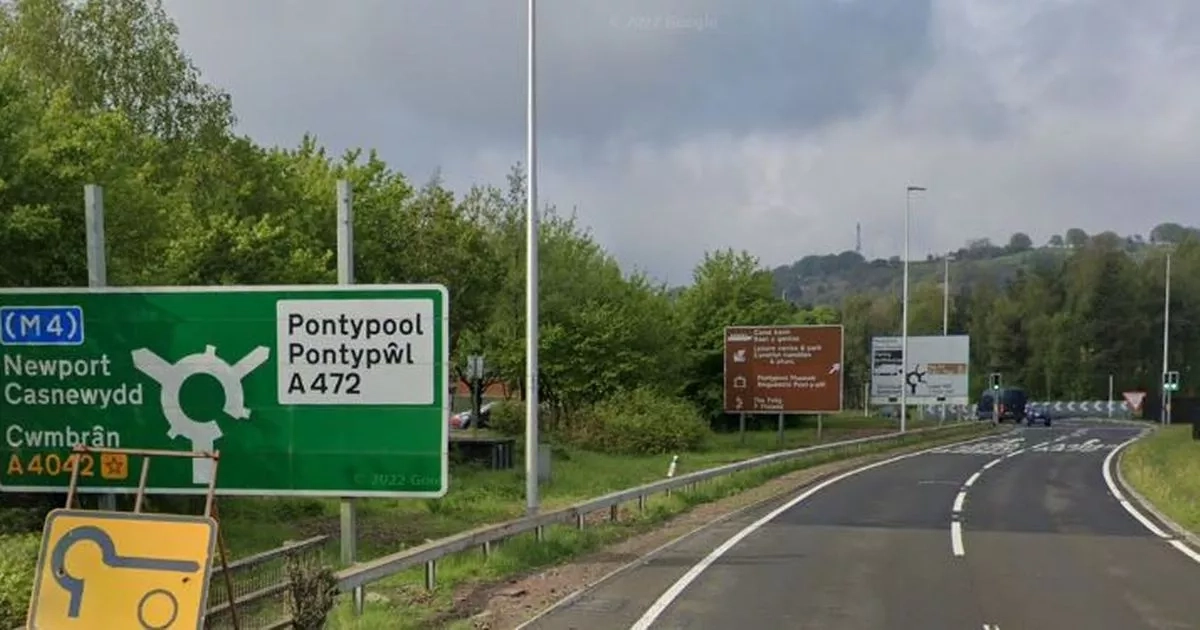 Husband whose 'life was 'nothing' without his wife died three months after she was killed in crash