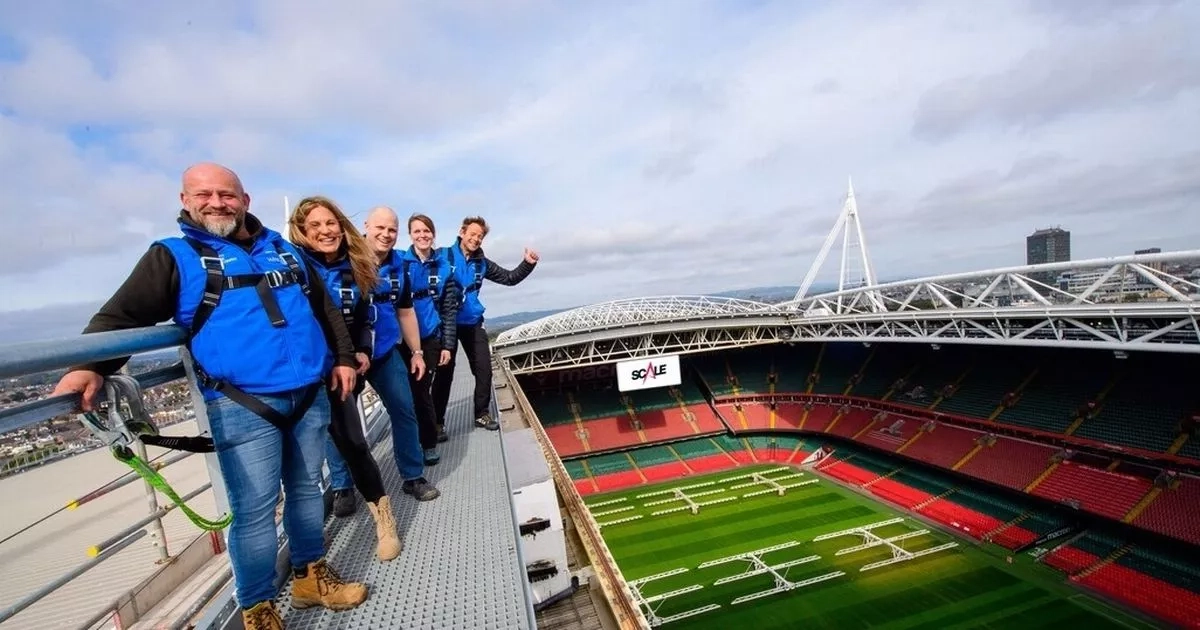 WRU's Principality Stadium roof walk attraction could be sold amid lack of interest