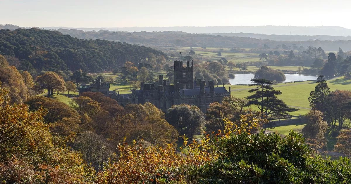The scenic mountain bike trail where you'll spot a spooky castle, wildlife and woodlands