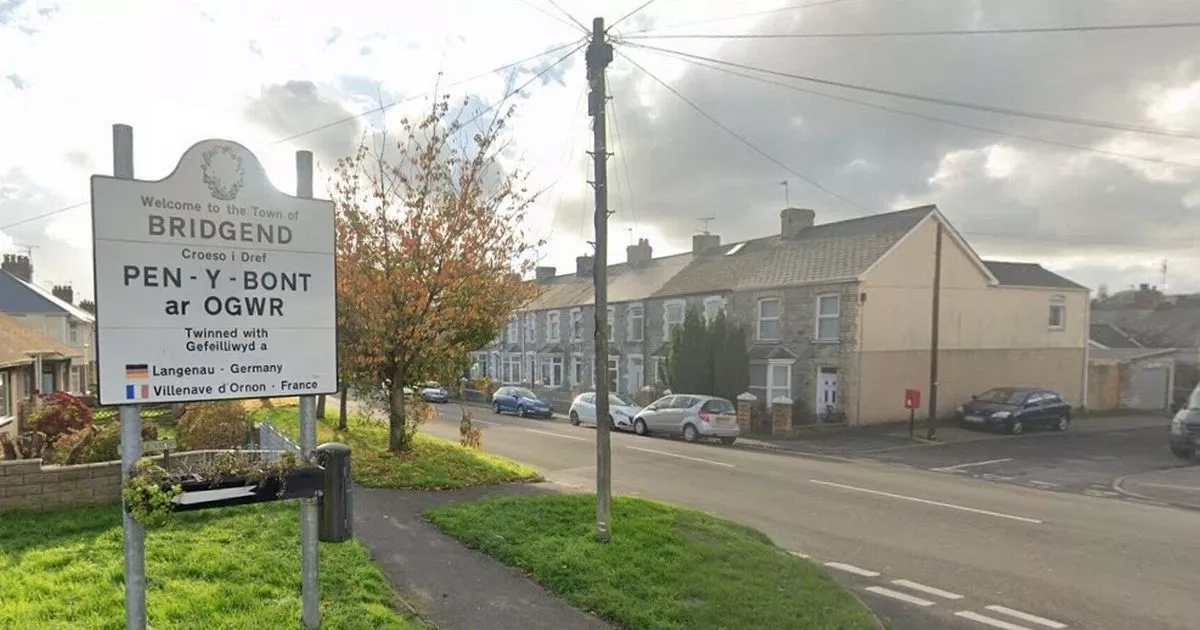 Grass-cutting delays hit Welsh county amid staffing challenges