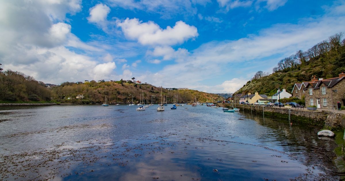 This laid-back harbour town has dolphin views and lush seafood worth the drive