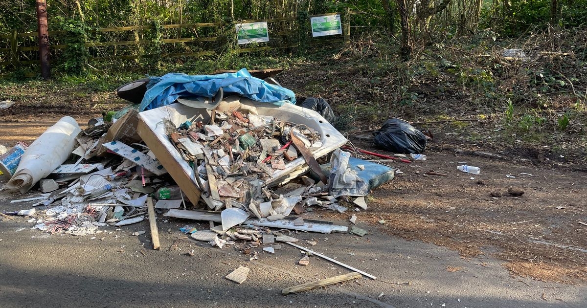 'Bring back dog licences and charge for paper cups to help tackle littering epidemic'