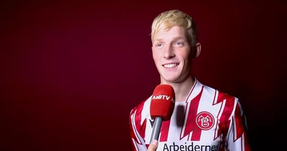 New Swansea City signing tipped for Premier League as fans told what to expect