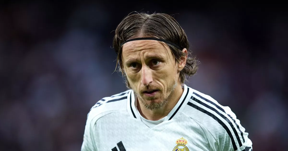 Wilfried Bony's bold Luka Modric prediction as star backed to have Swansea City impact
