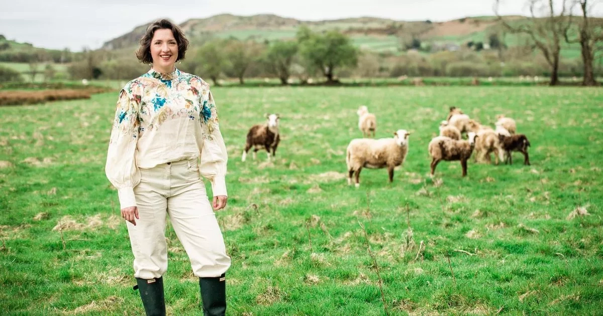 'I gave up English city life to move to stunning rural Wales – then disaster struck'