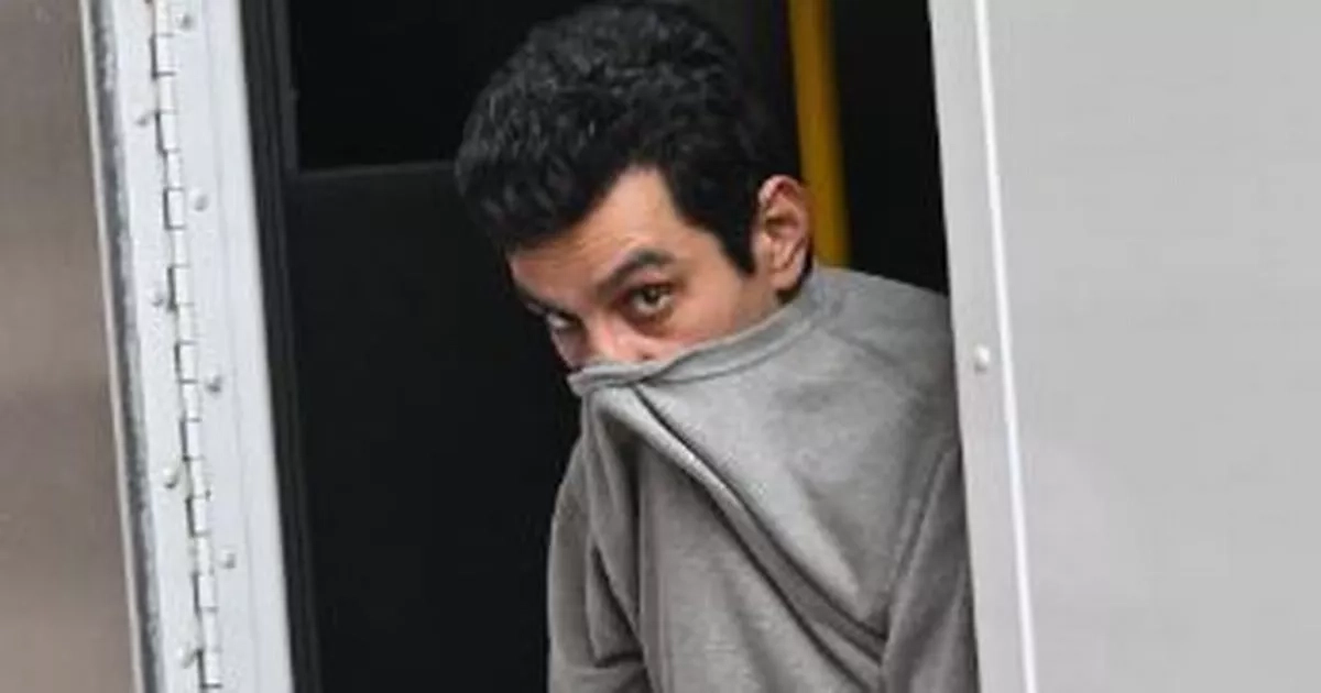 Man charged with murder of Paria Veisi appears in court