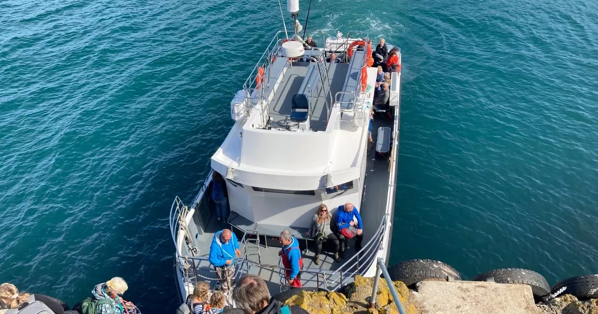 Boat trip to Welsh island is like being on a Greek holiday with an amazing surprise at the end