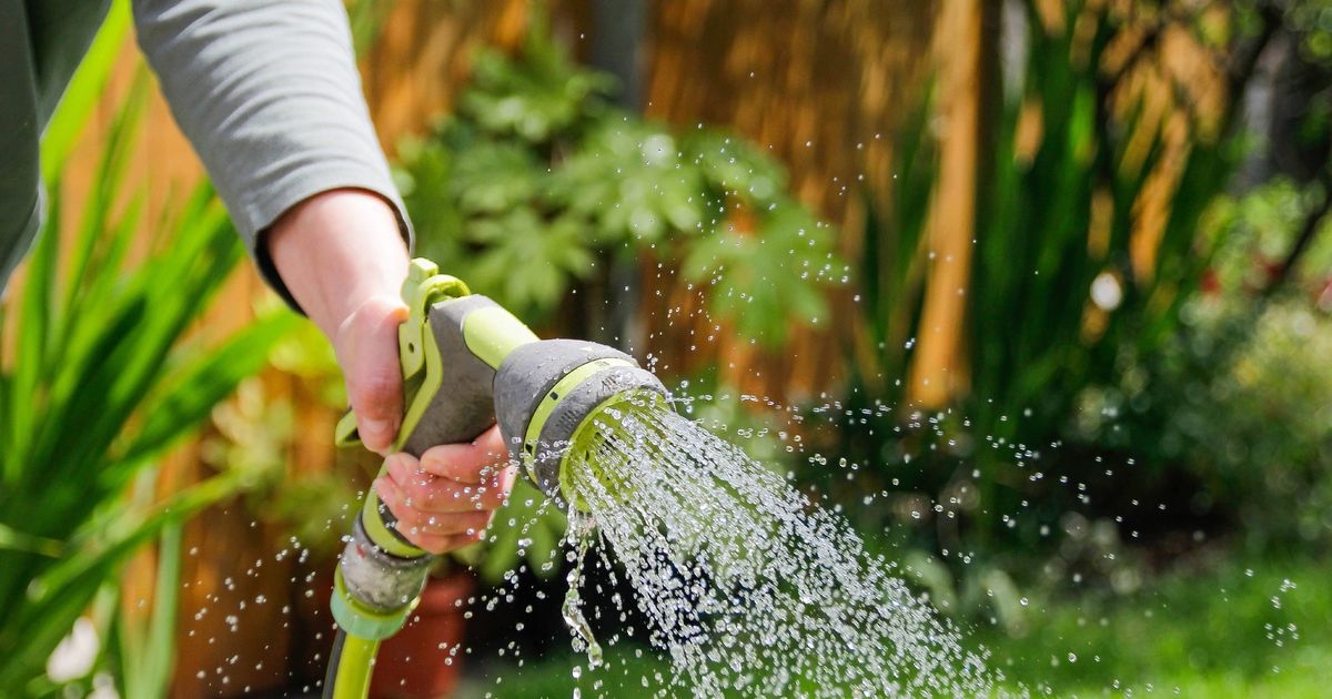 Gardeners' World icon shares best and worst times to water garden