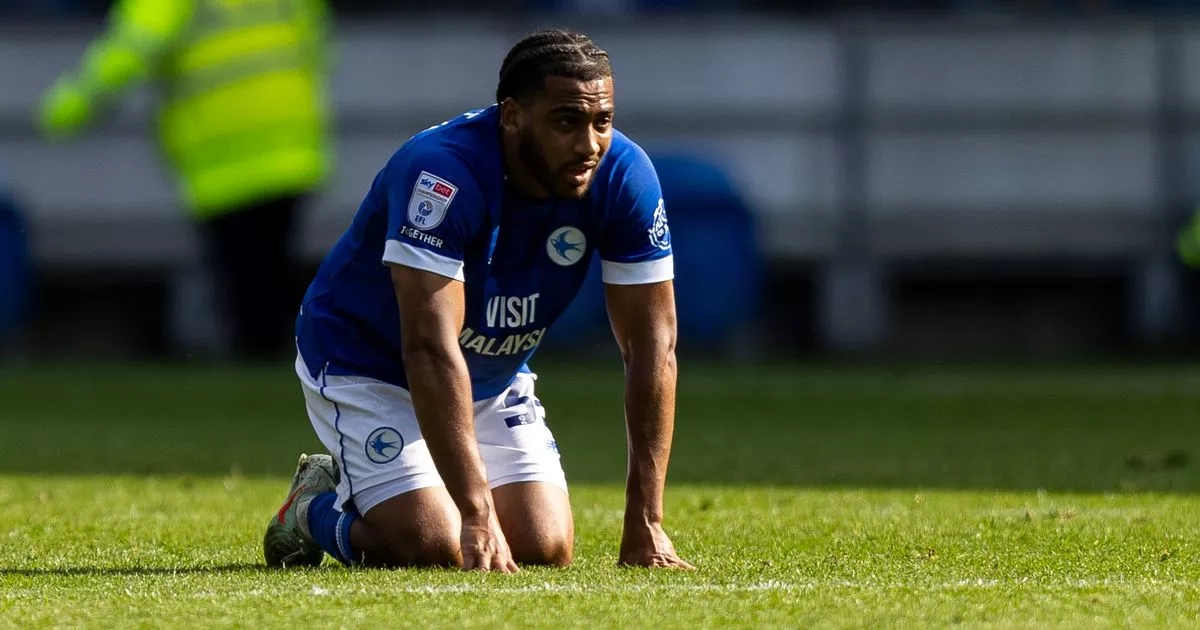 The raft of players who could now leave Cardiff City after relegation