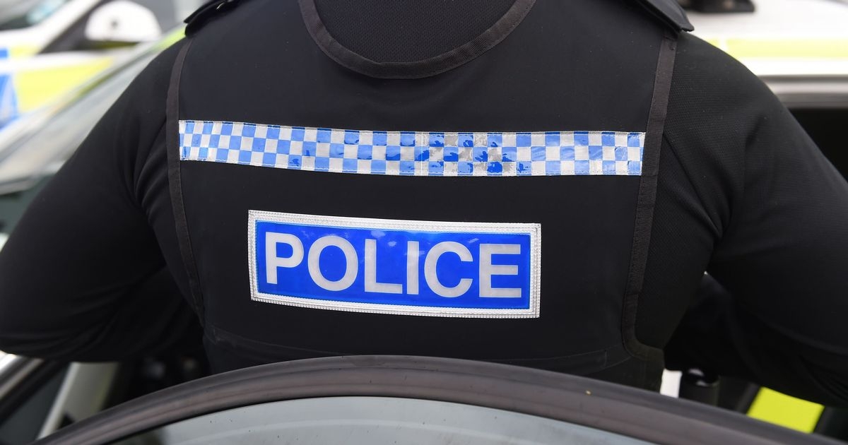 Man charged and two arrested as RSPCA and police discover 37 dead dogs