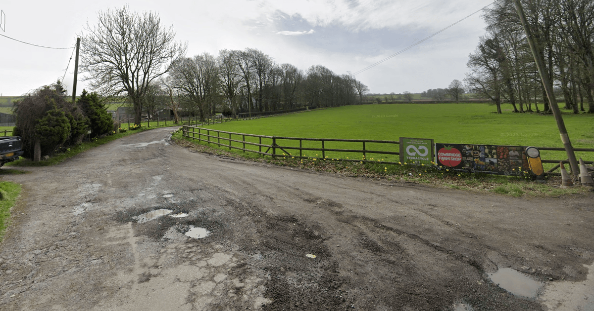 Cryptosporidium outbreak sees 28 people hospitalised in Wales and this is how the parasite spreads
