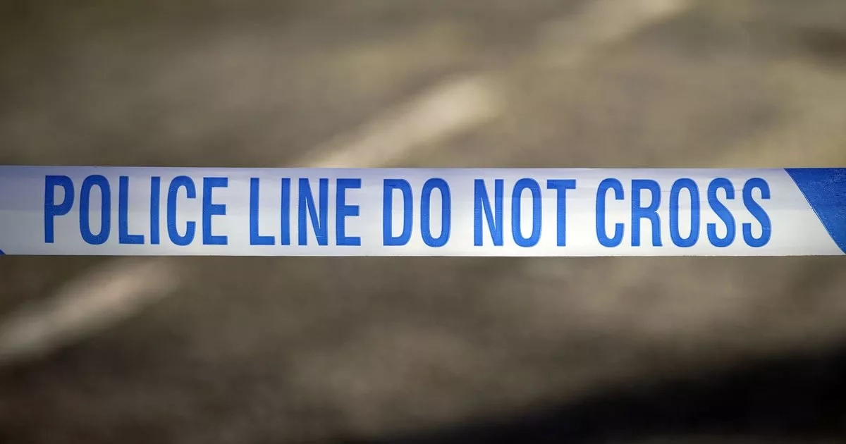 Boy, 14, charged with attempted murder after two teens stabbed