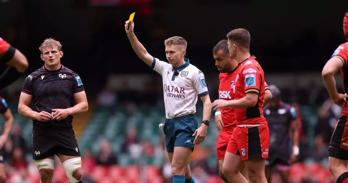 Wales coach's 21-year-old son becomes refereeing prodigy after realising he wasn't big enough to play