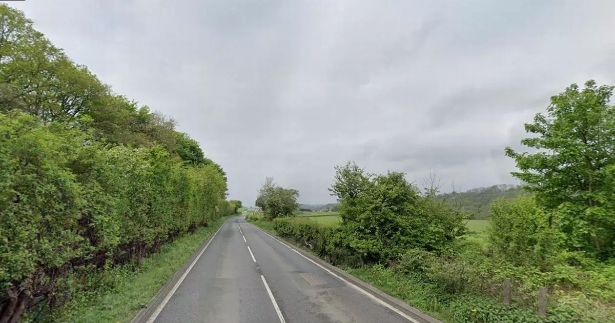 Police appeal after man and woman halt traffic during 'altercation'