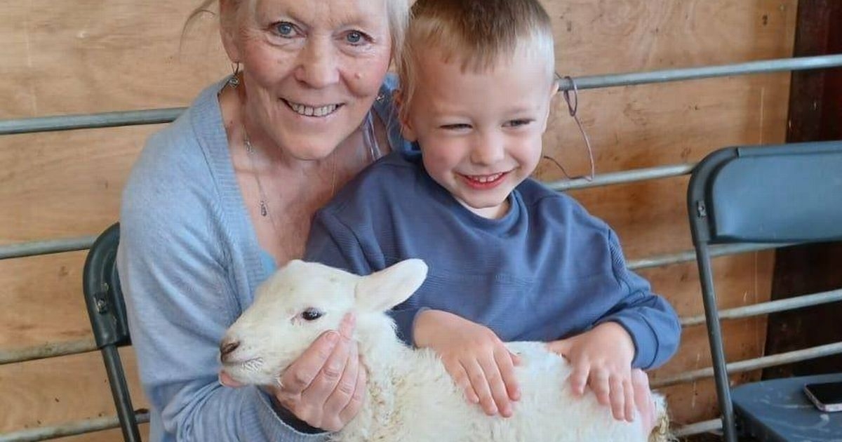 More cases of parasite outbreak confirmed after visits to popular Welsh petting farm